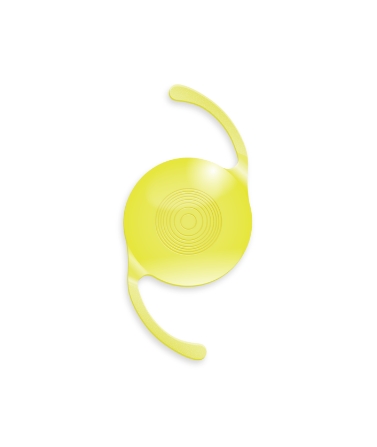 Zimetric 지메트릭